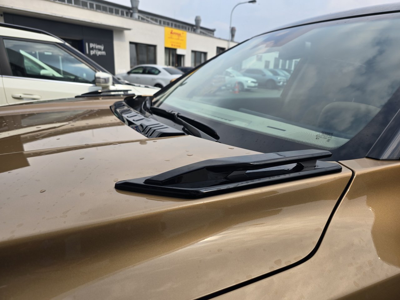 Actyon 1.5 Turbo GDI HEV Premium Měděná/béžový     463